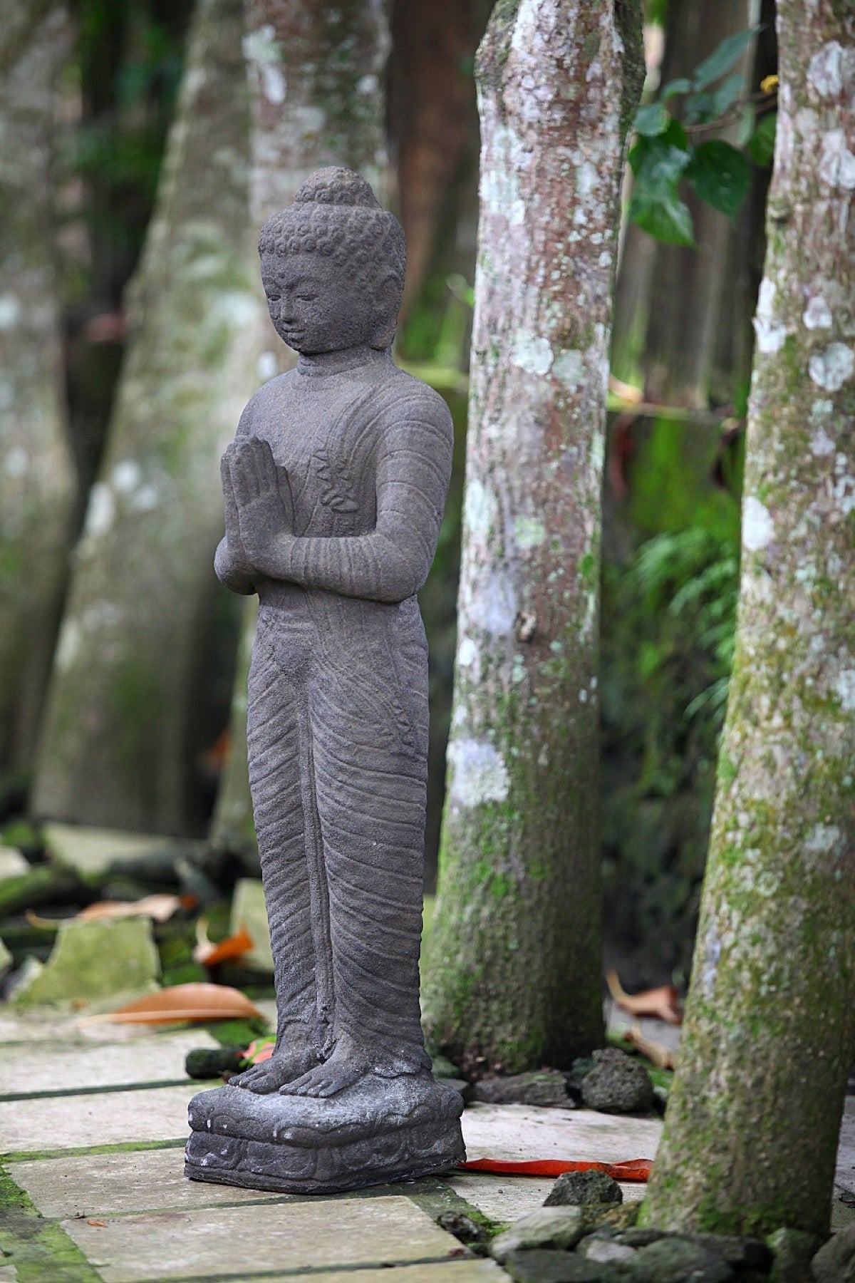 Bali Furniture – Buddha Amitabha – The Buddha Amitabha offers a calm, colle