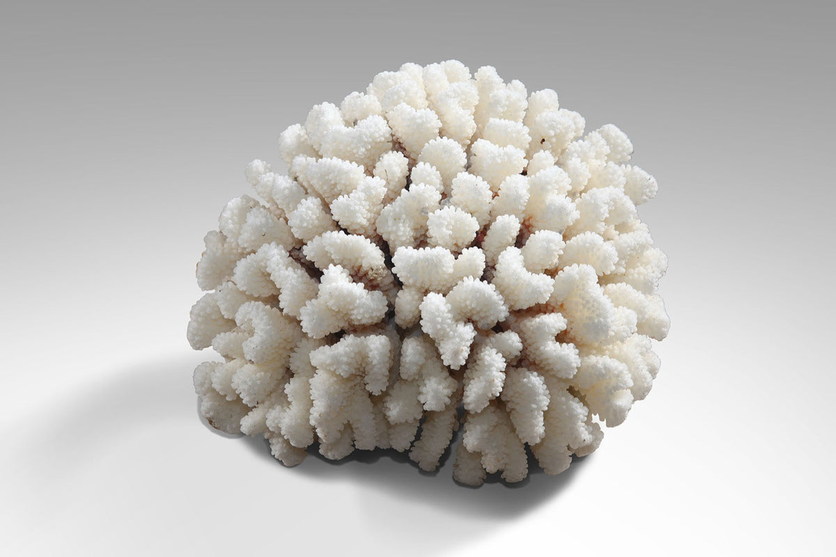 Handcrafted decorative piece Coral – boho decor handcrafted in Bali by BaliSouk
