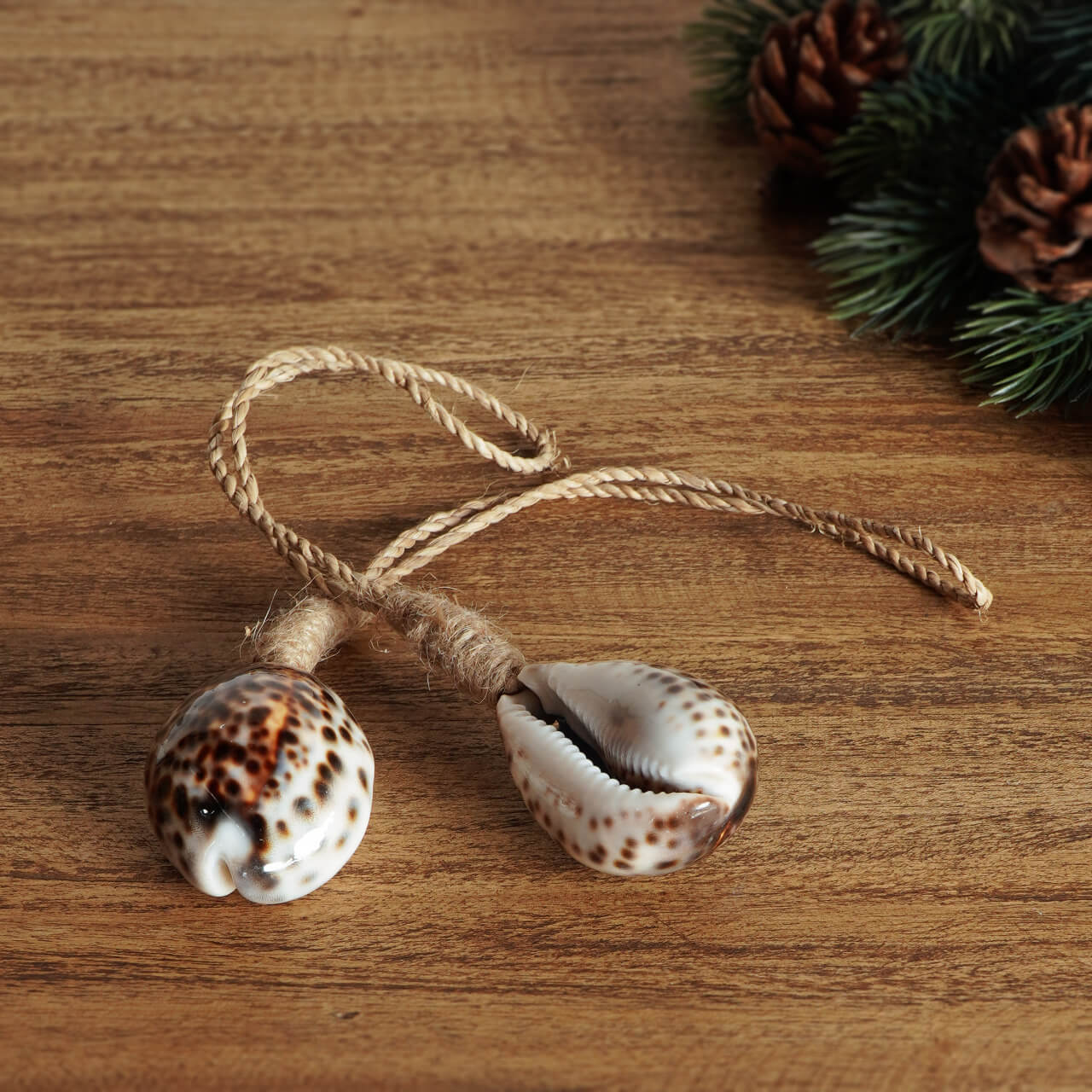 Tassel Shell