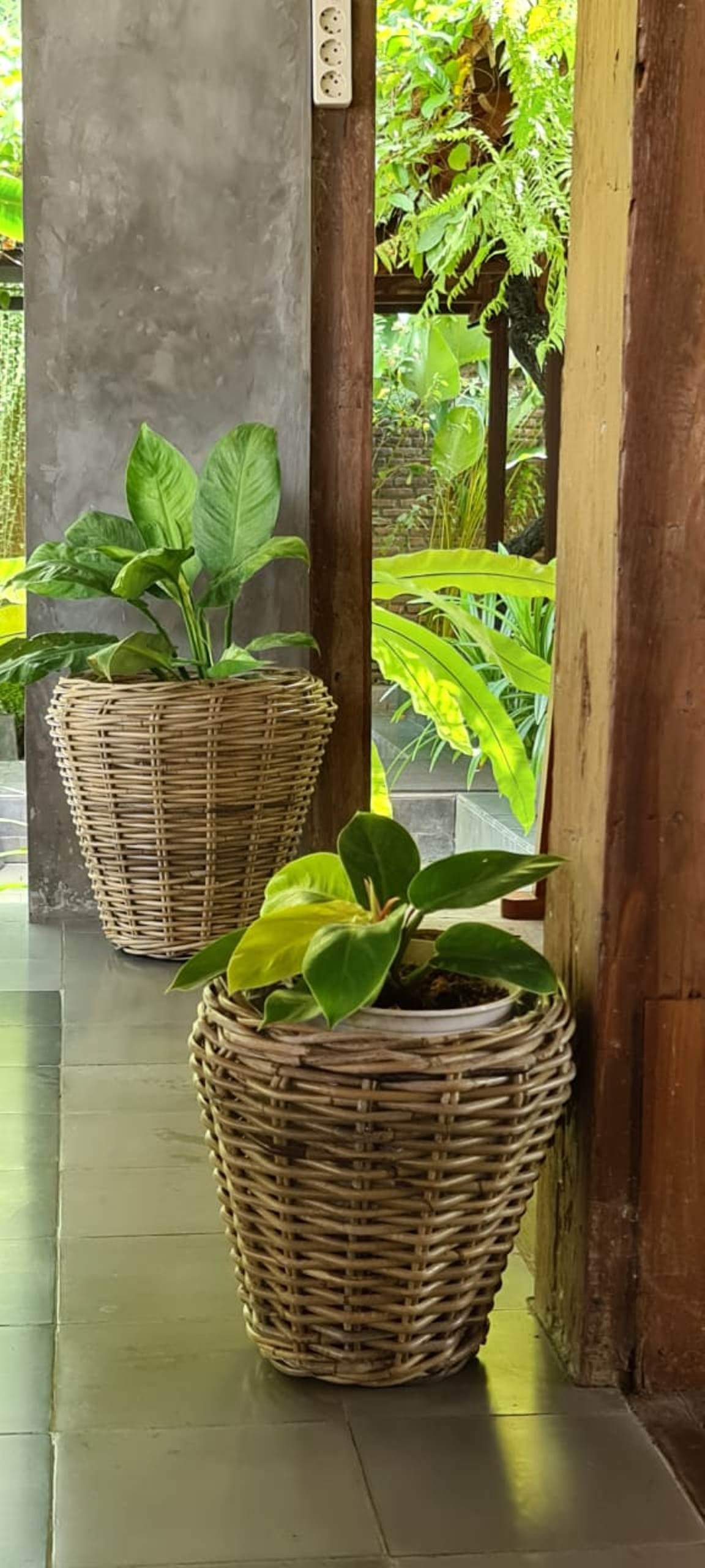 Alex Round Basket Set Of Two With Plastic