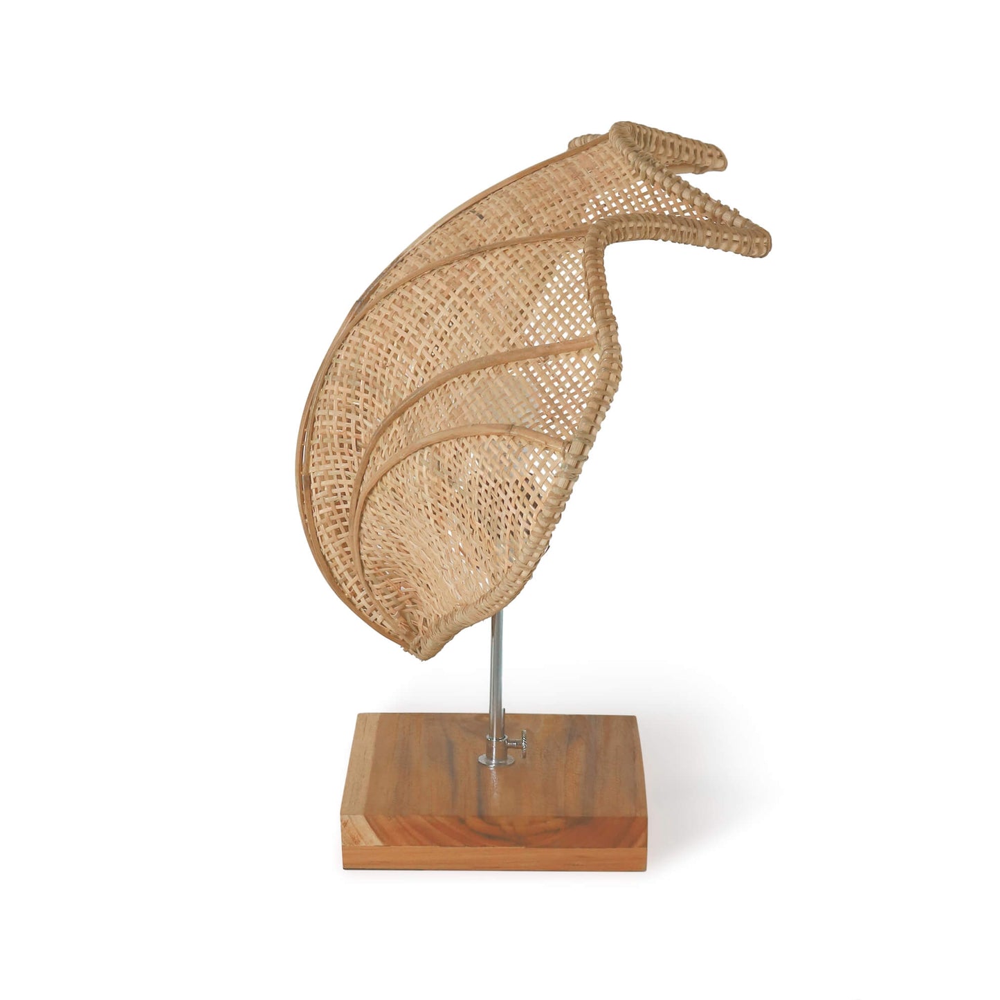 Sheila Table Shell Lamp Big Without Electric Cable