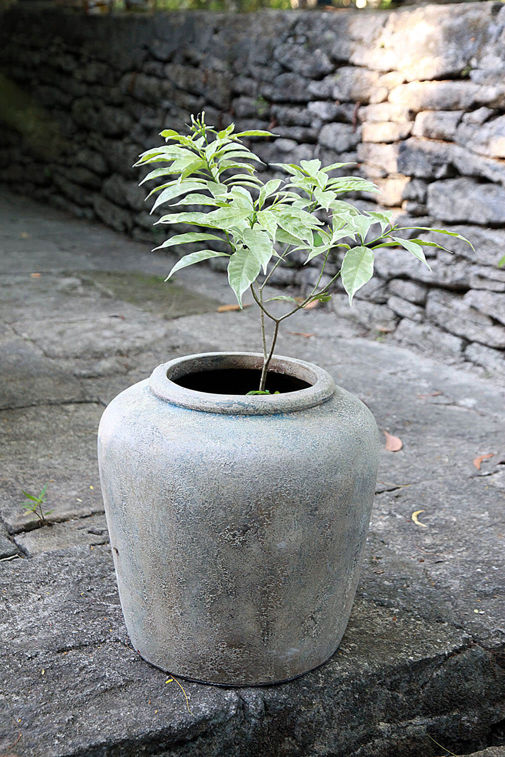 Bali Furniture – Mylos Pot – The Mylos Pot introduces an effortless b