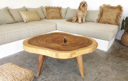 Teak coffee table Round Suar Slice – boho furniture handcrafted in Bali by BaliSouk (vue 6)