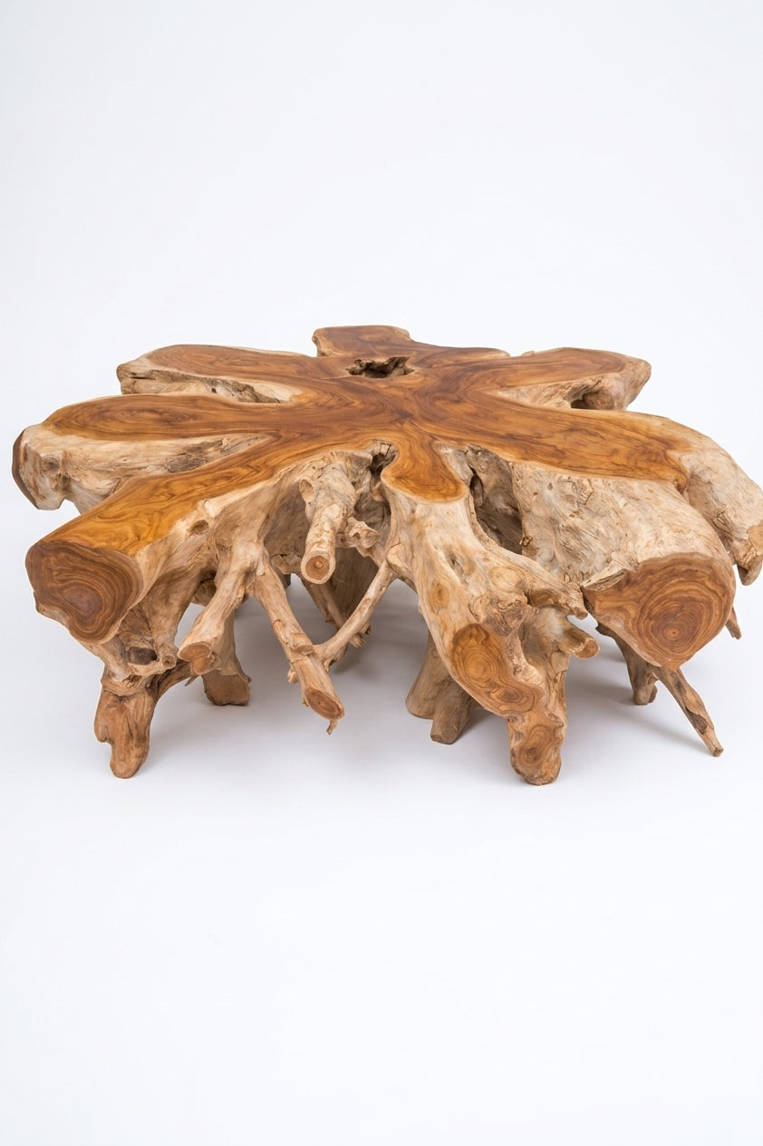 Teak Root coffee table Teak Root Round – boho furniture handcrafted in Bali by BaliSouk (vue 2)