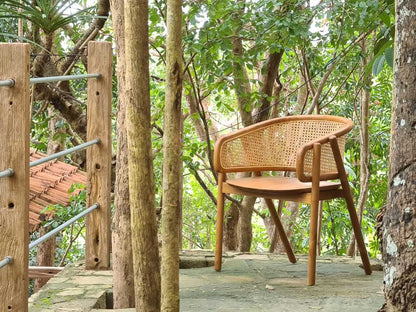 Daniela Arm Chair Without Cushion