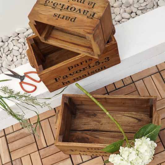 Botanic Box With Letters S/3