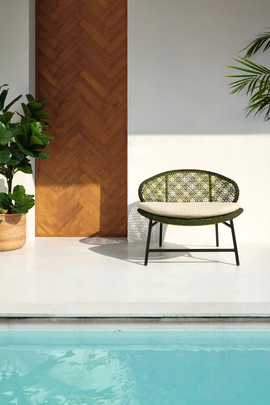 Carolus Lounge Chair With Cushion