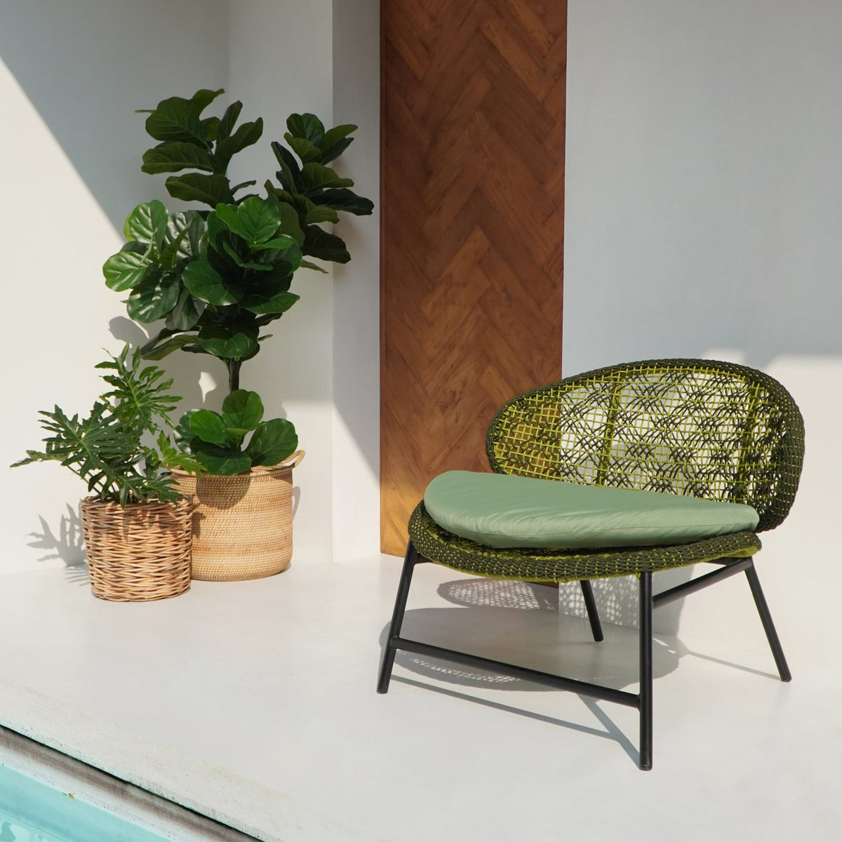 Carolus Lounge Chair With Cushion