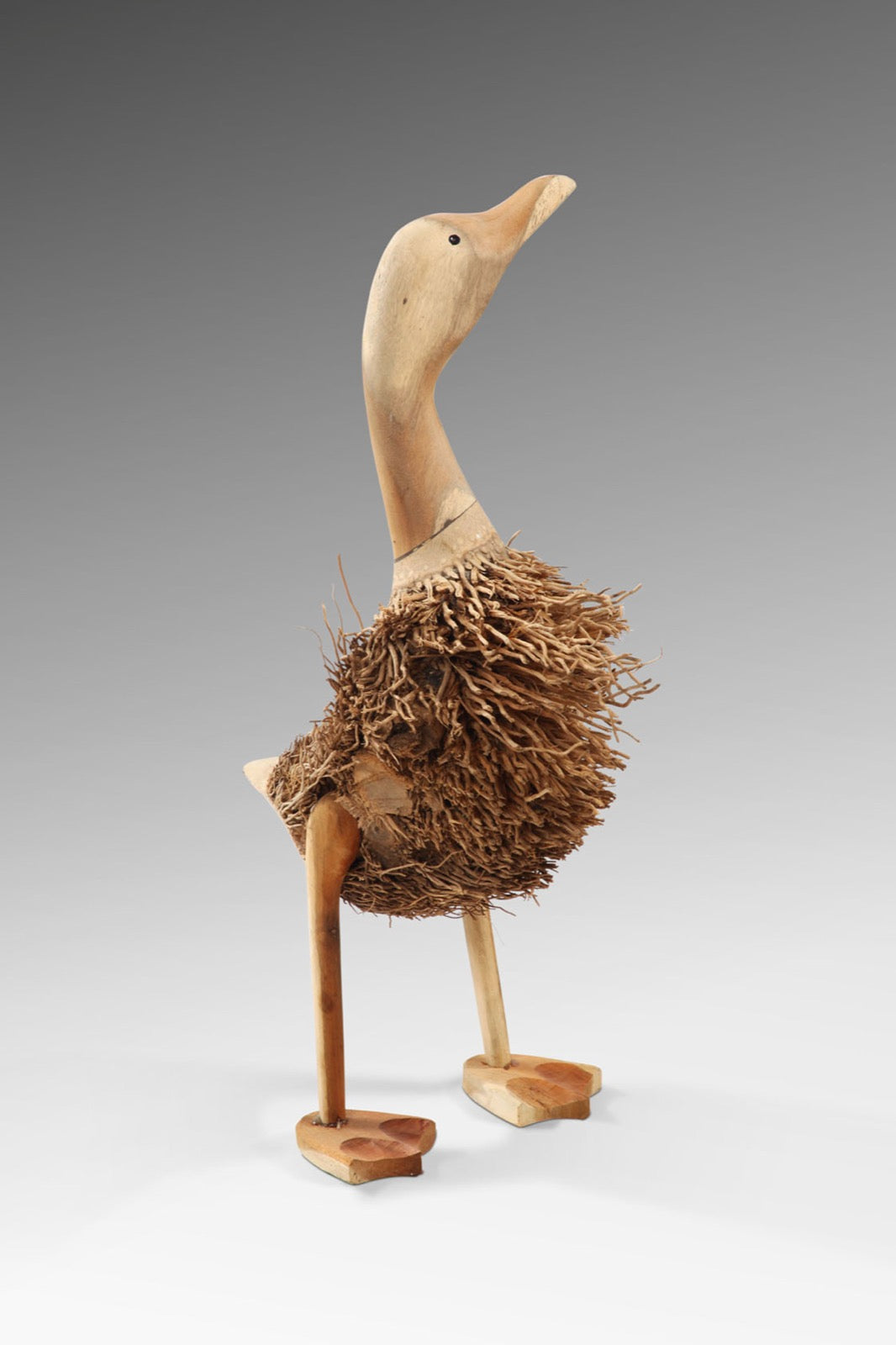 Hair Duck