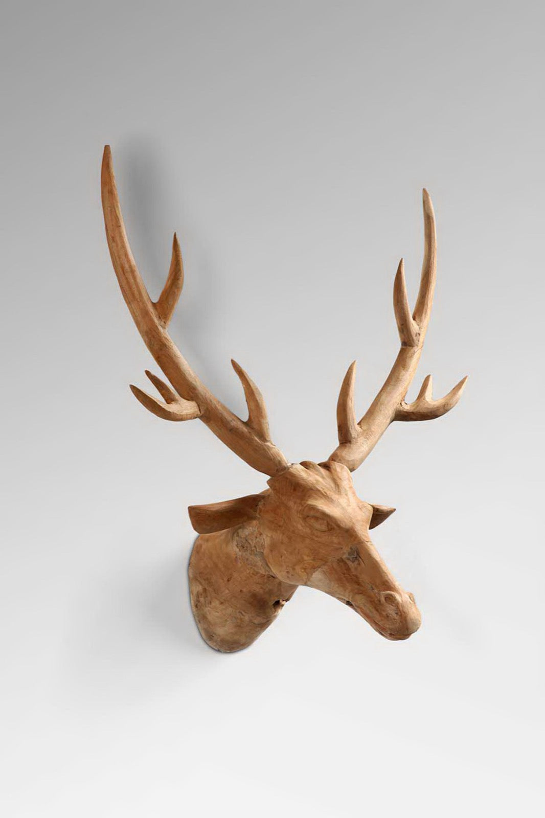 Deer Head Large