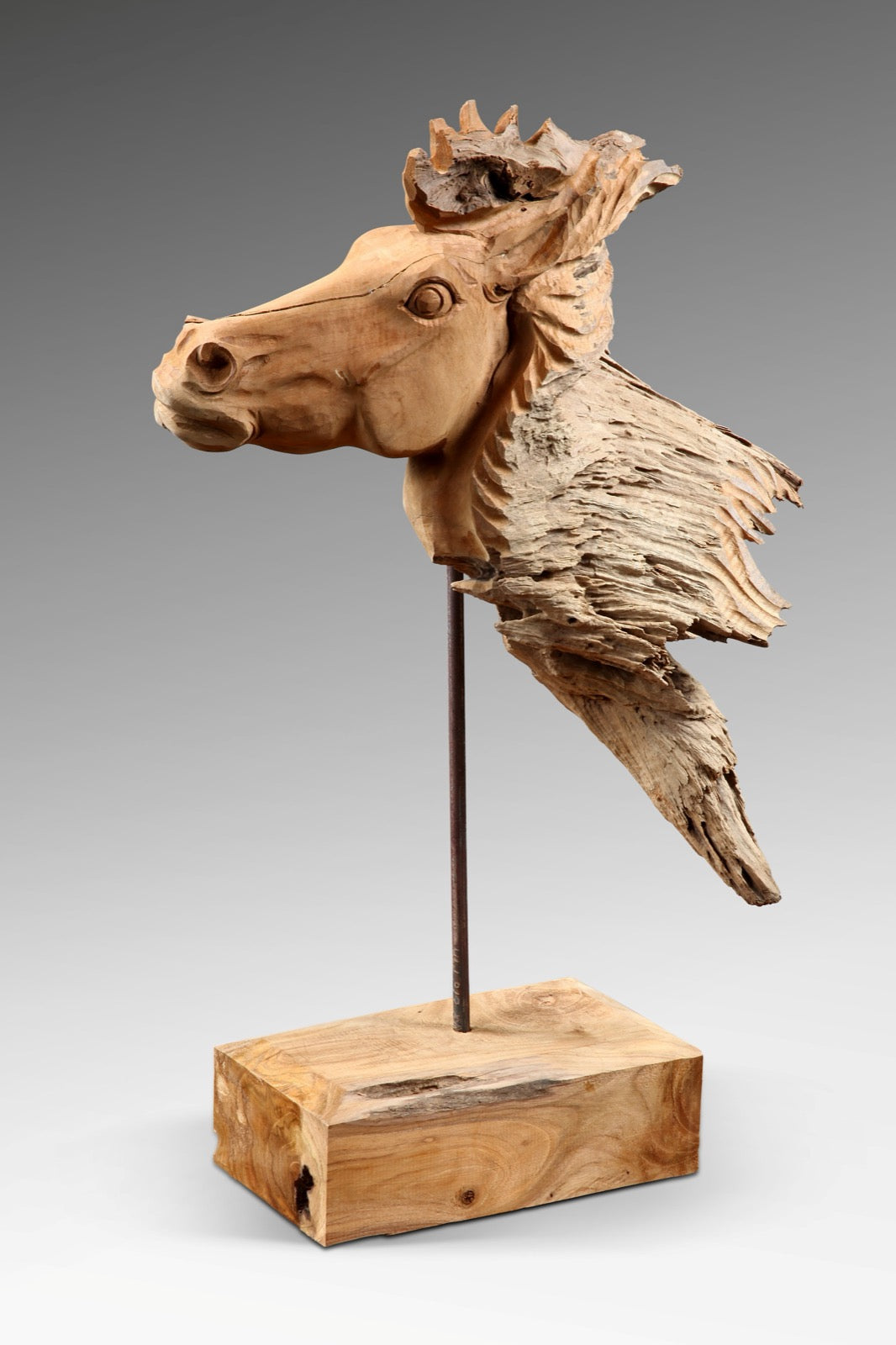 Horse Head On Stand