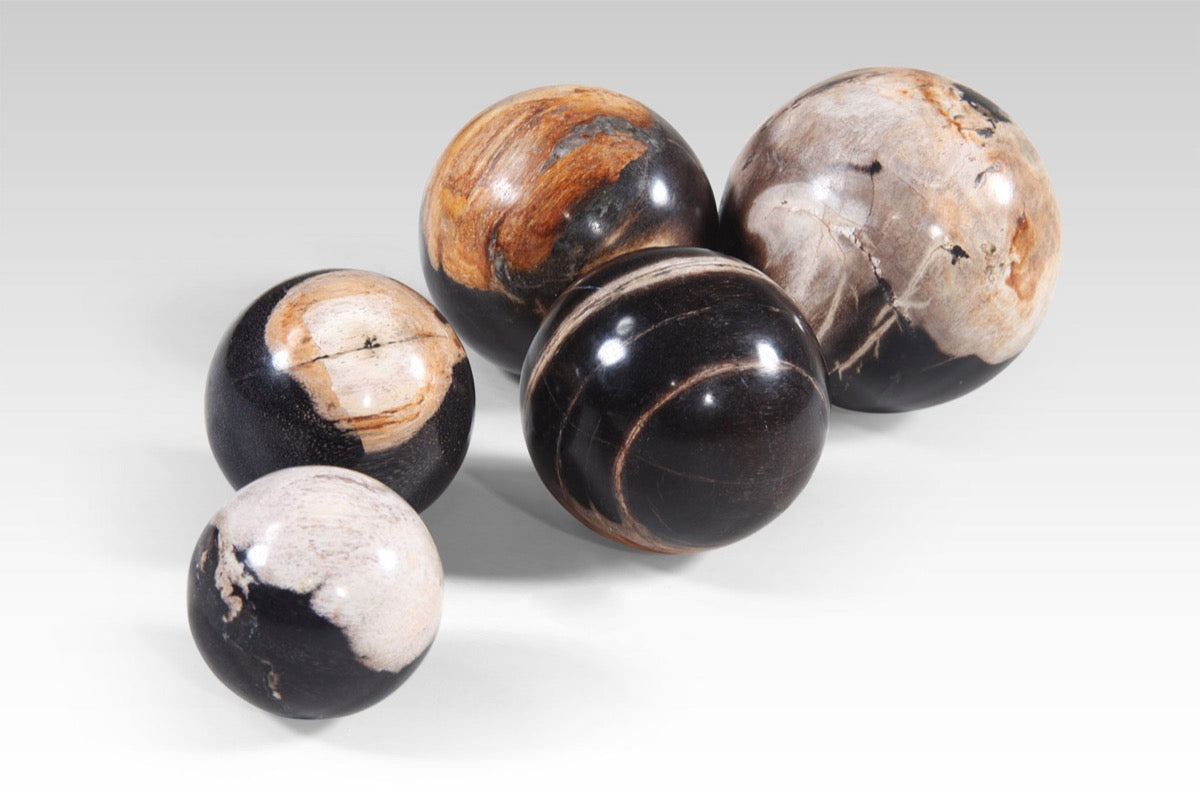 Fossil Balls