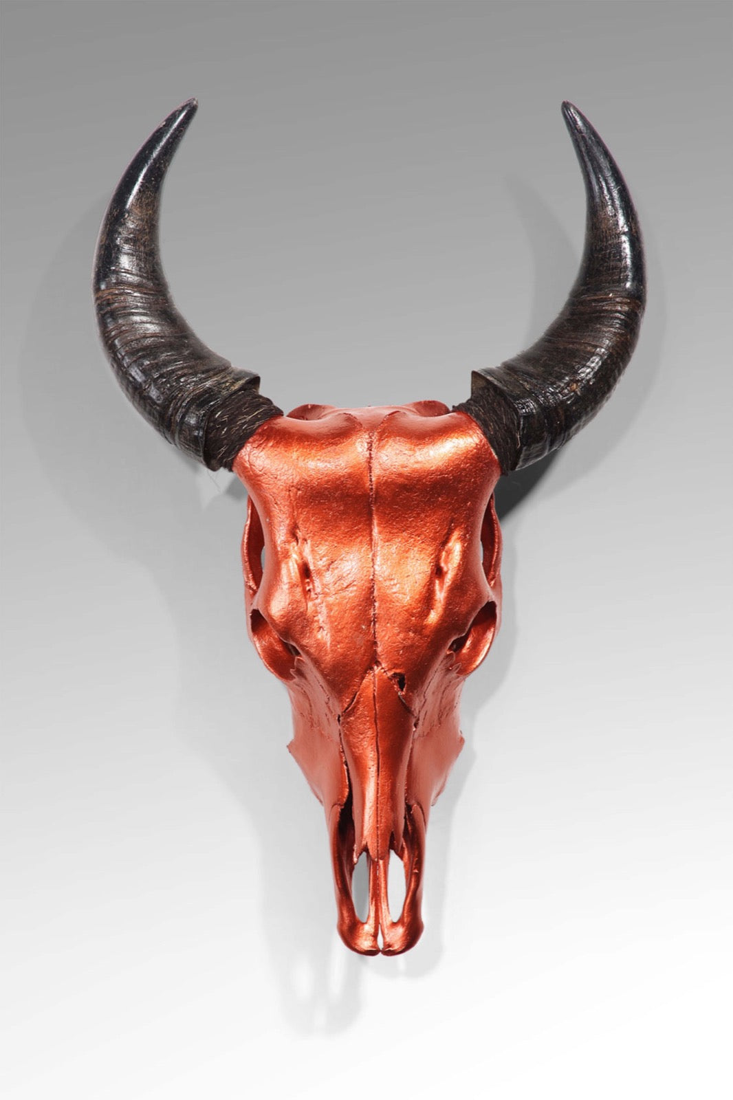 Resin sculpture – Cow Skull, natural natural materials in boho style