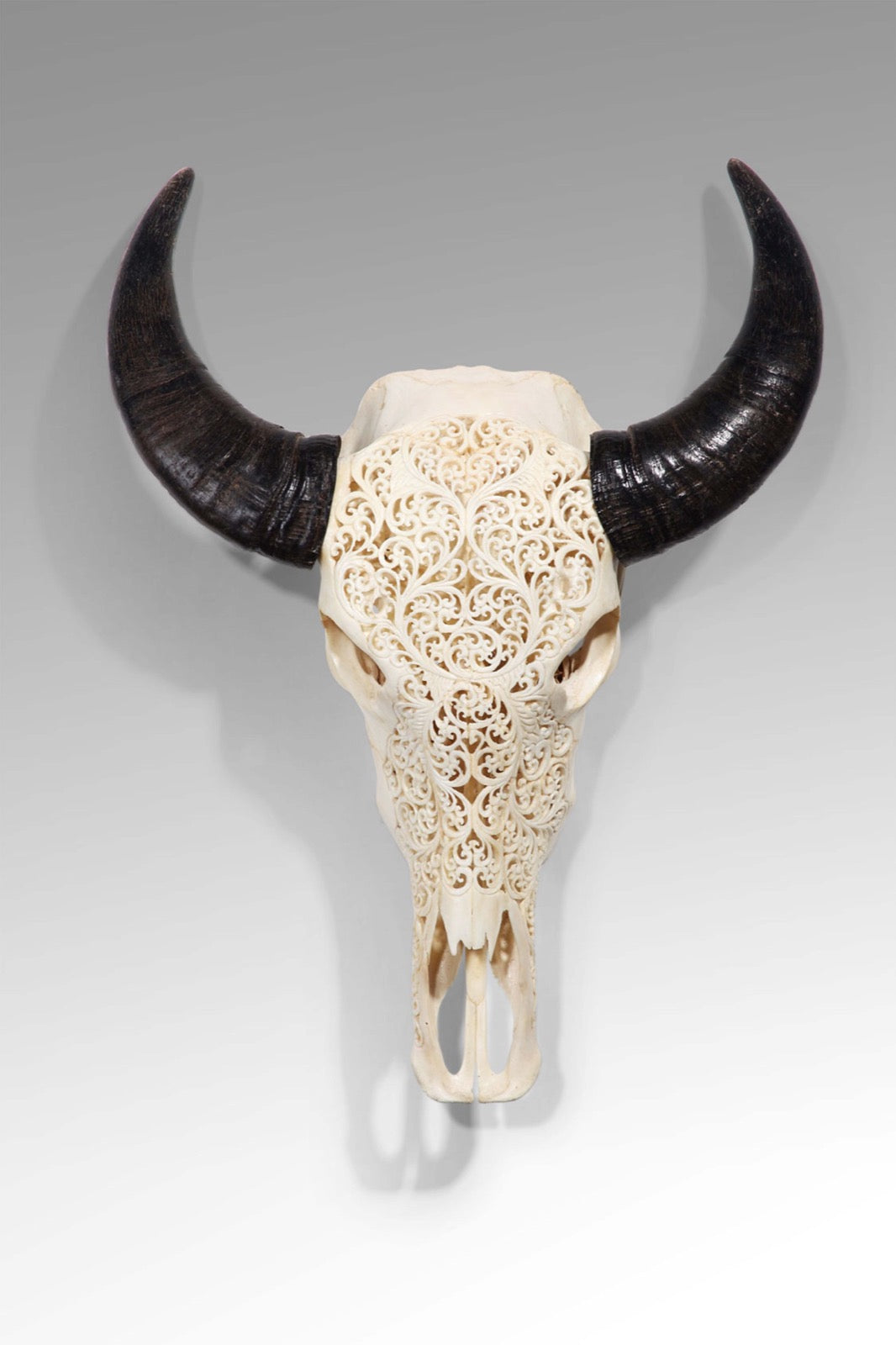Cow Skull Deco With Carving