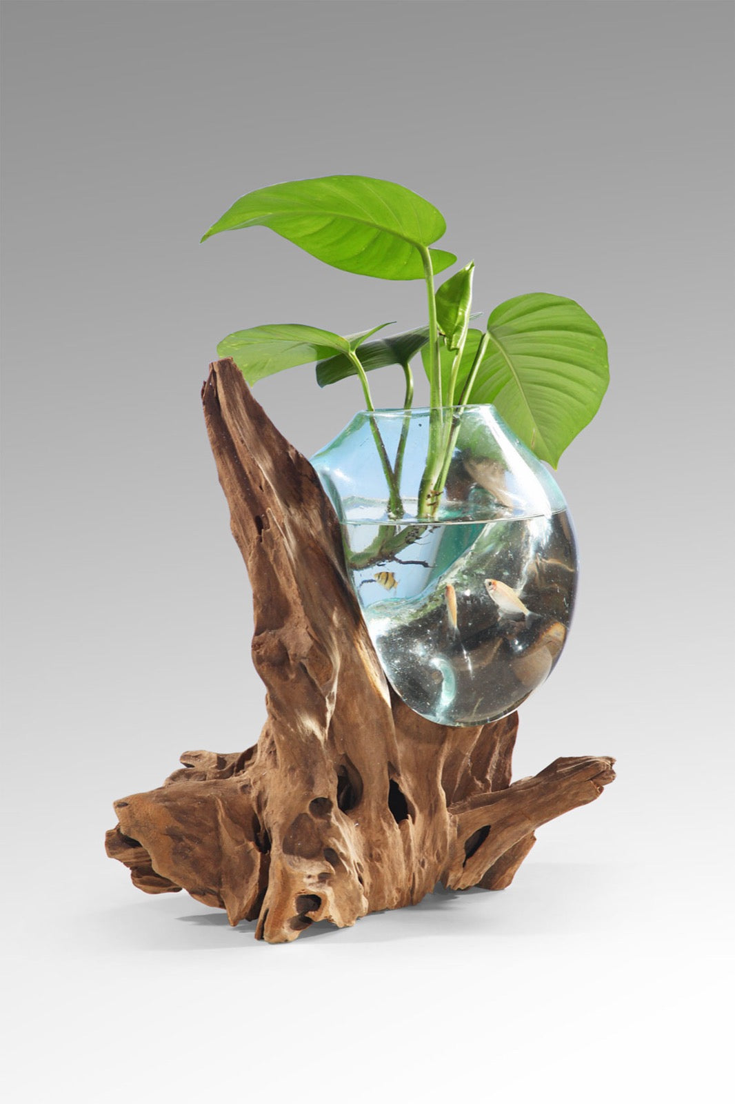 Solo Water Drop aquarium by BaliSouk – boho decor made in Bali