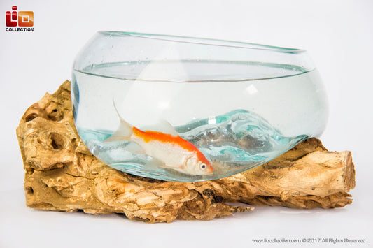Boho solid teak and glass bowl Solo Water Drop Fish Extra Large, handcrafted in Bali