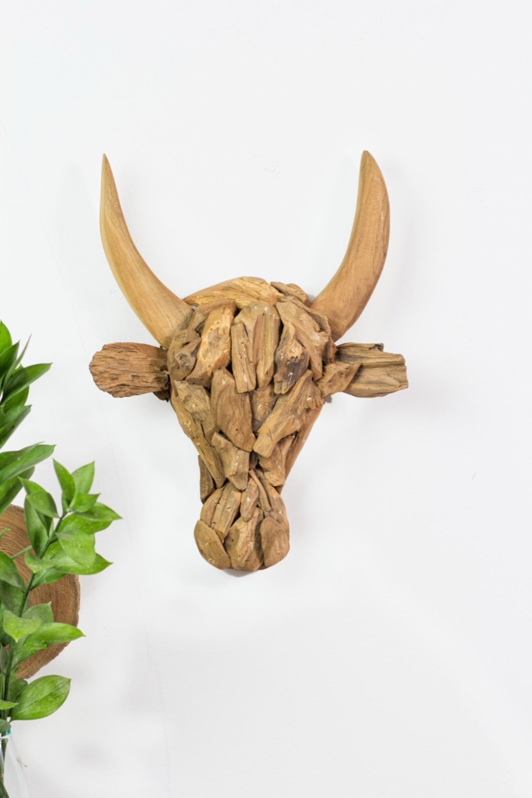 Natural Small Bull