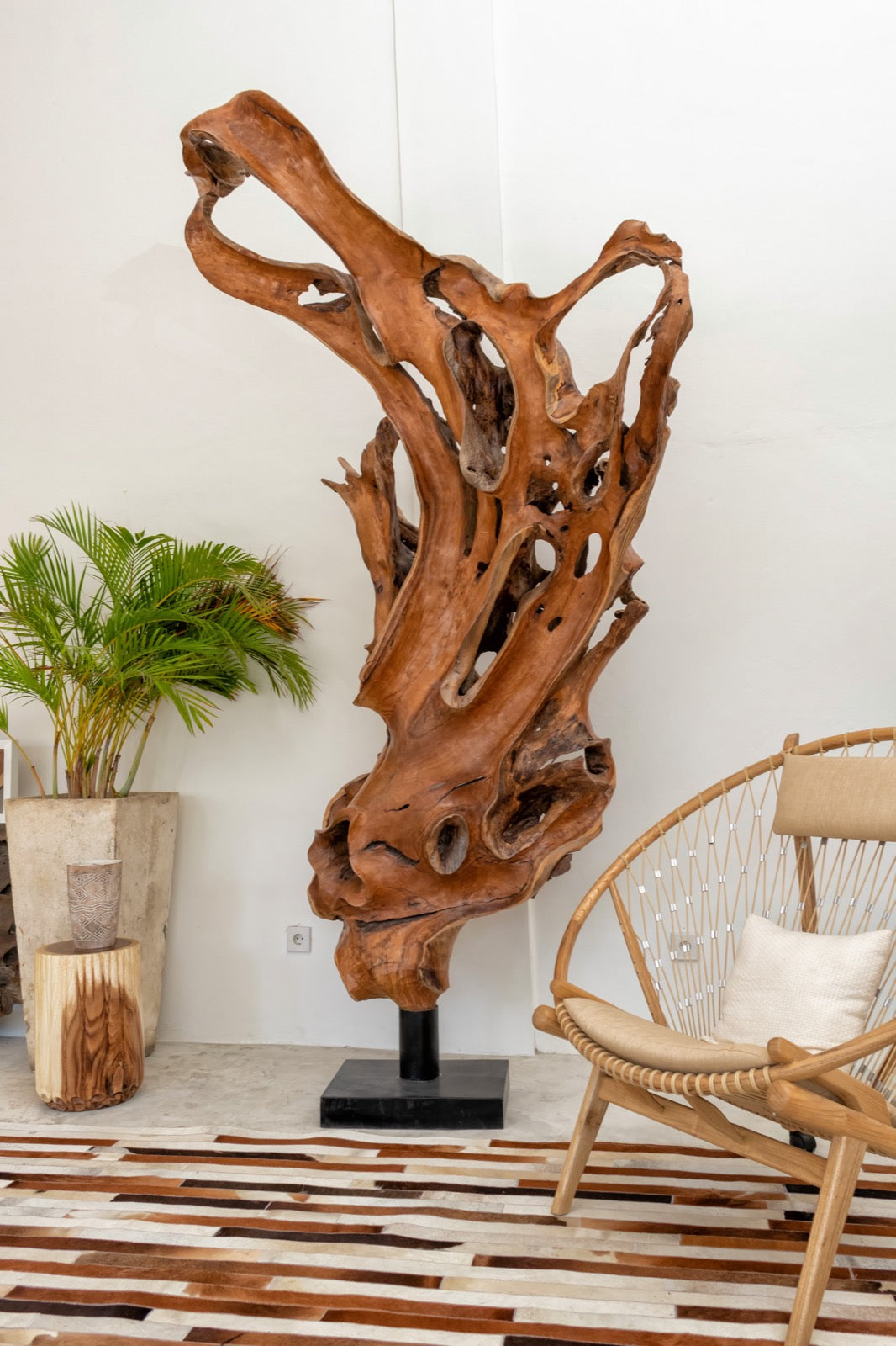 Root Deco On Stand - Assorted Model