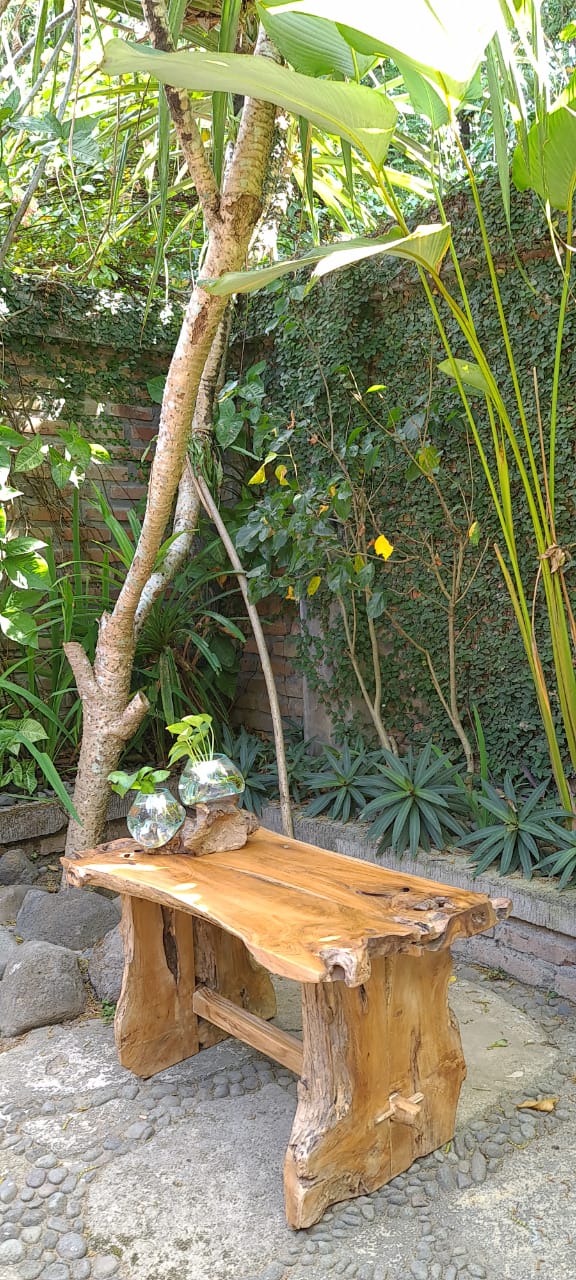 New Primitive Bench