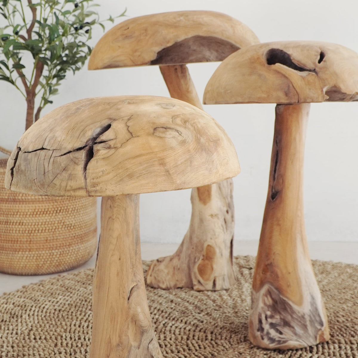 Tiram Mushroom Set Of Three