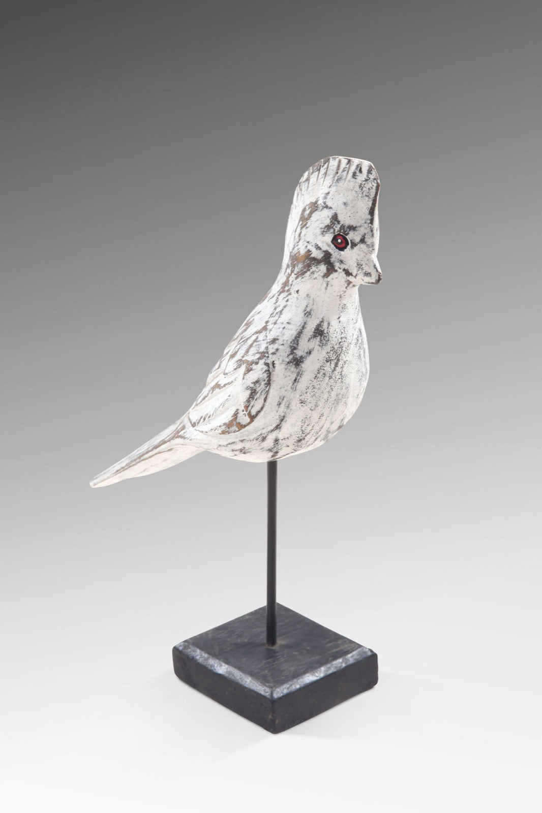 White Bird
