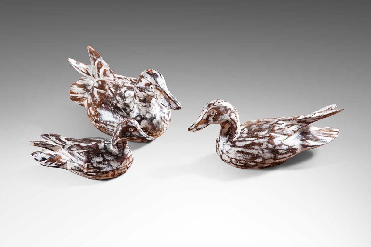 Duck Family S/3