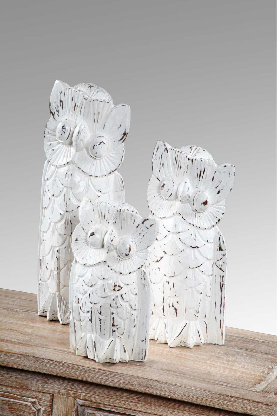 White Owl Family S/3 - Big