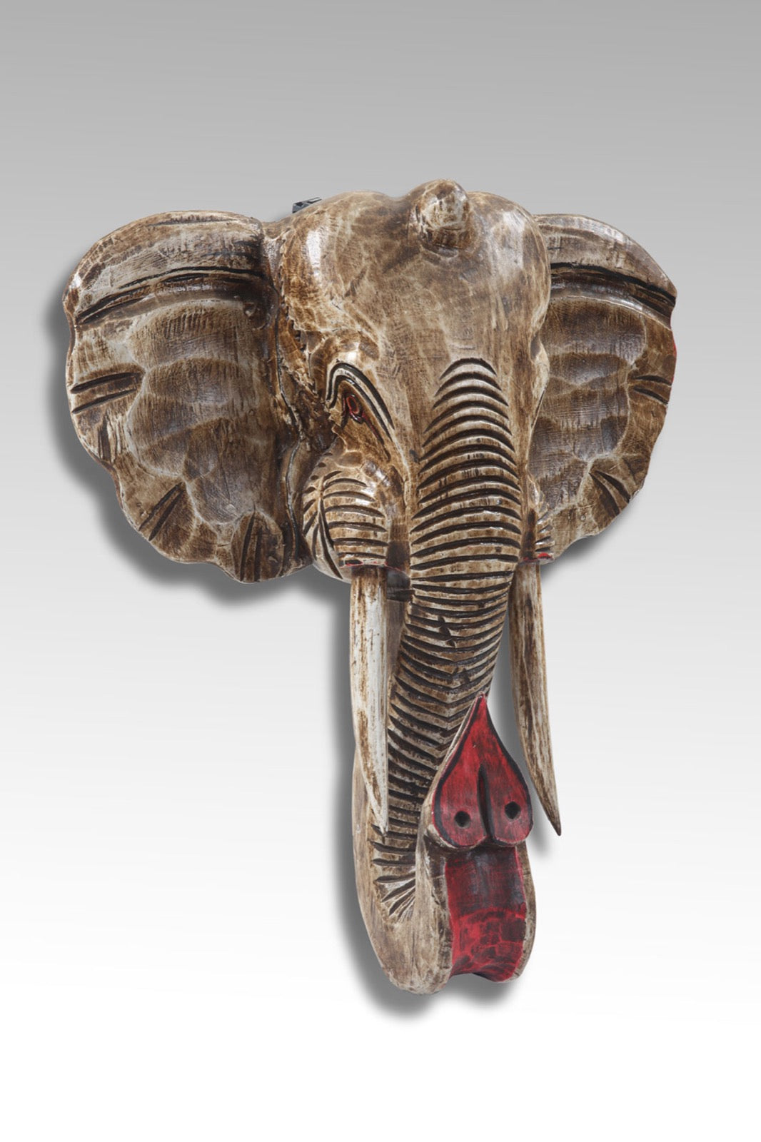 Big Elephant Head