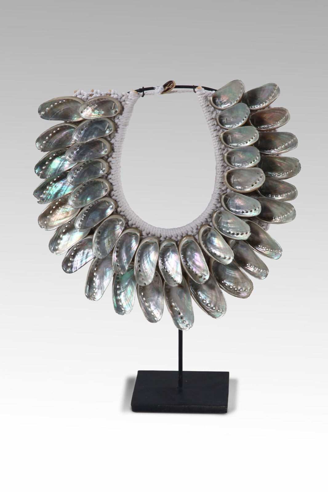 Shell Necklace