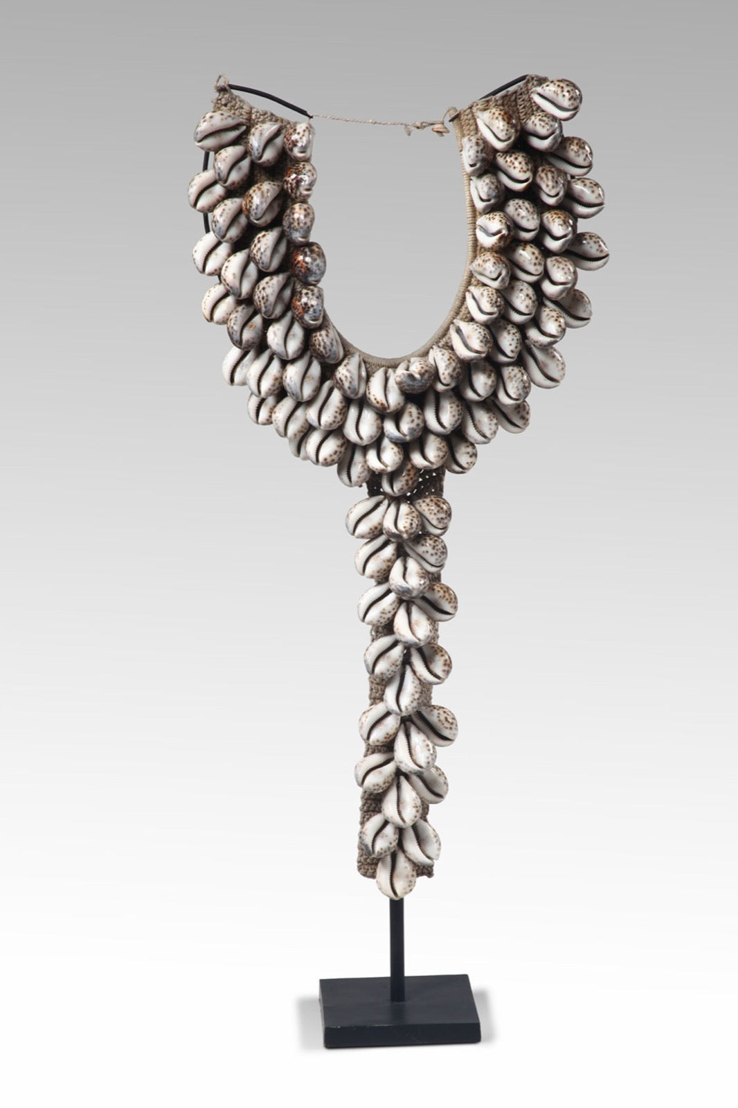 Shell Necklace