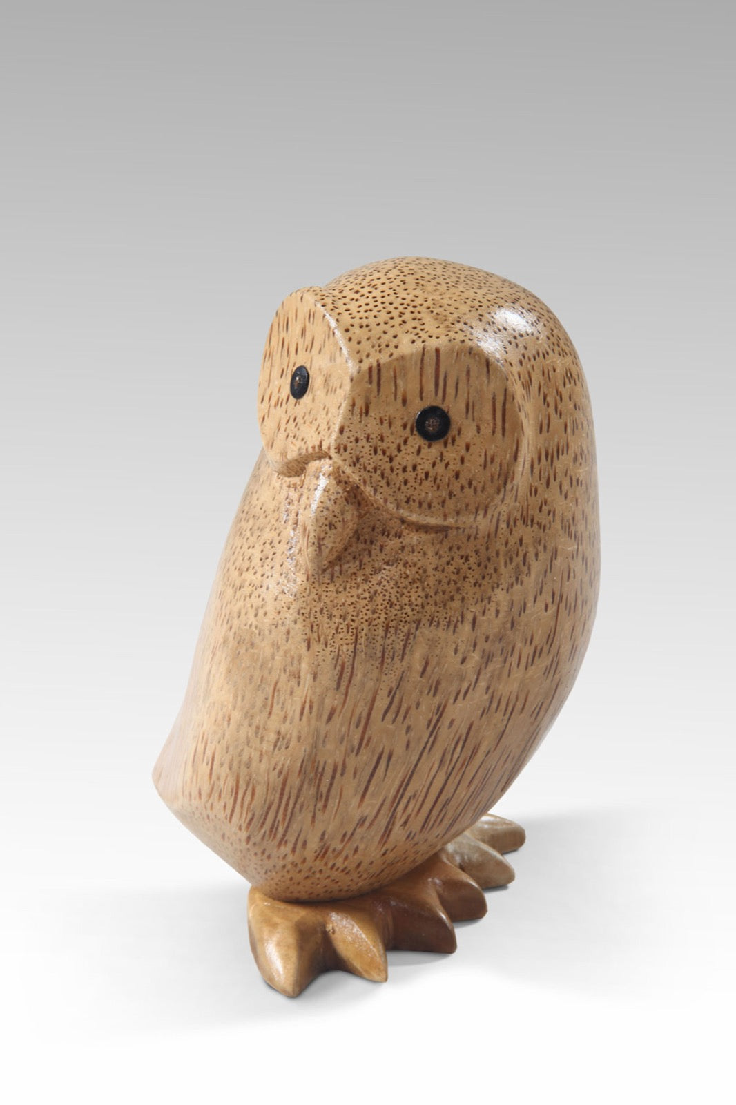 Little Owl