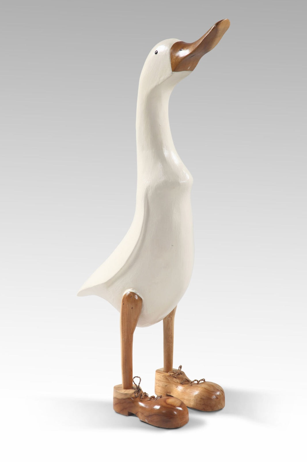 Look Up Duck