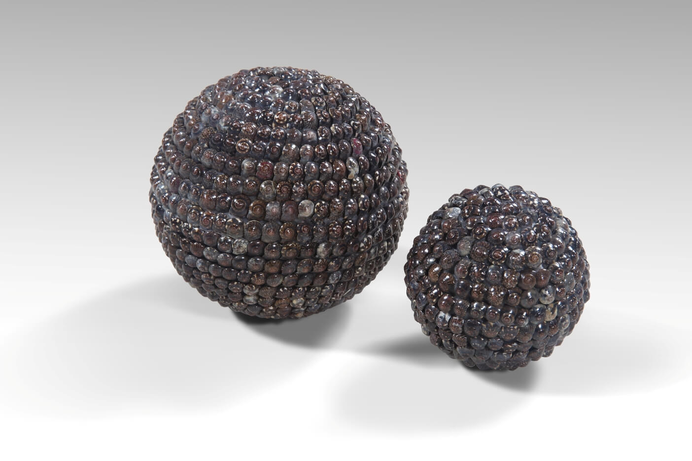 Shell Ball Set Of Two