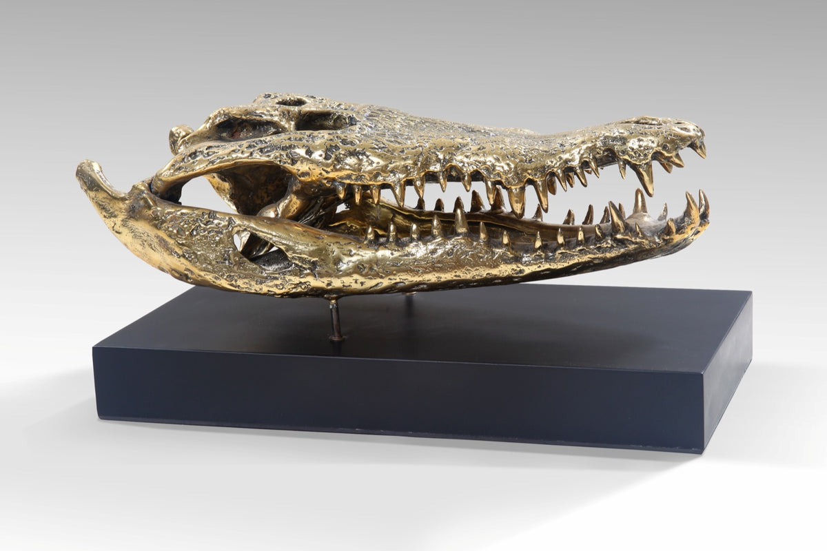 Crocodile Golden Skull With Base - Large
