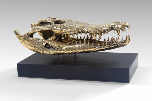 Large bronze Crocodile Golden Skull sculpture in gold, handcrafted in Bali