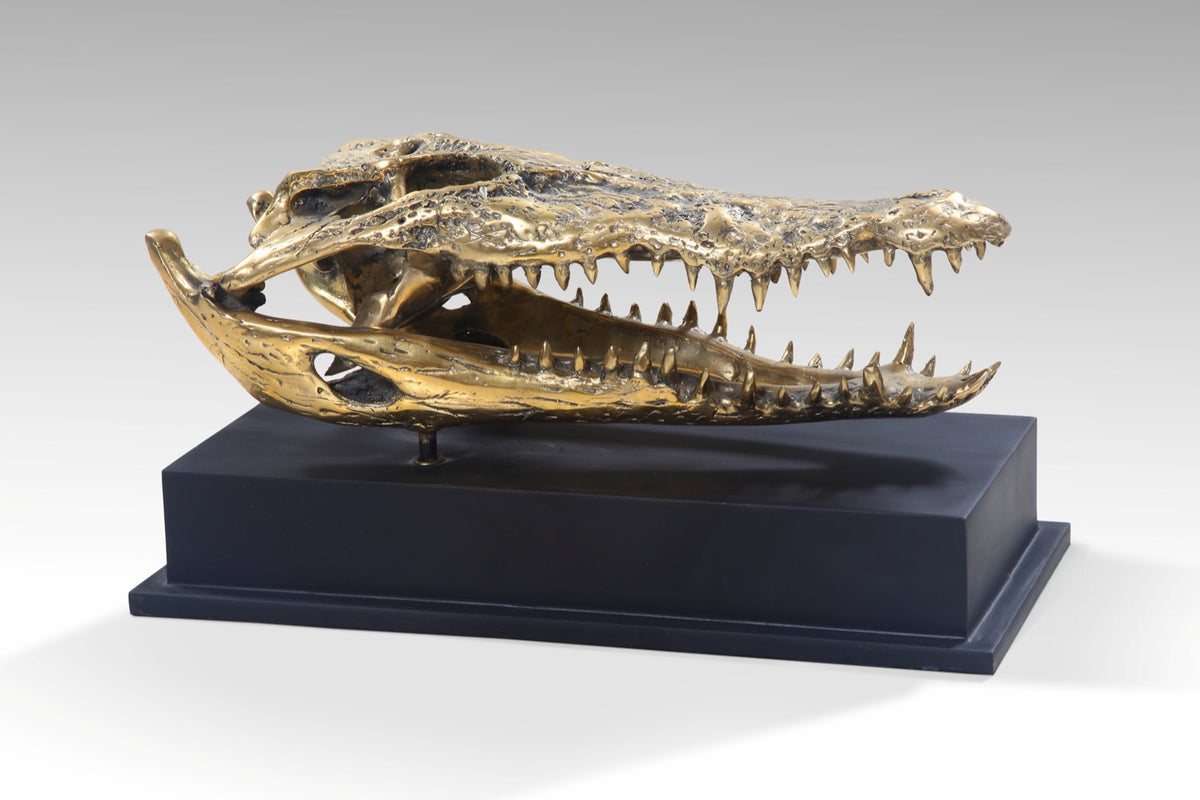 Crocodile Golden Skull With Base - Medium