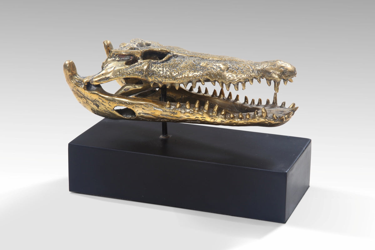 Crocodile Golden Skull With Base - Small