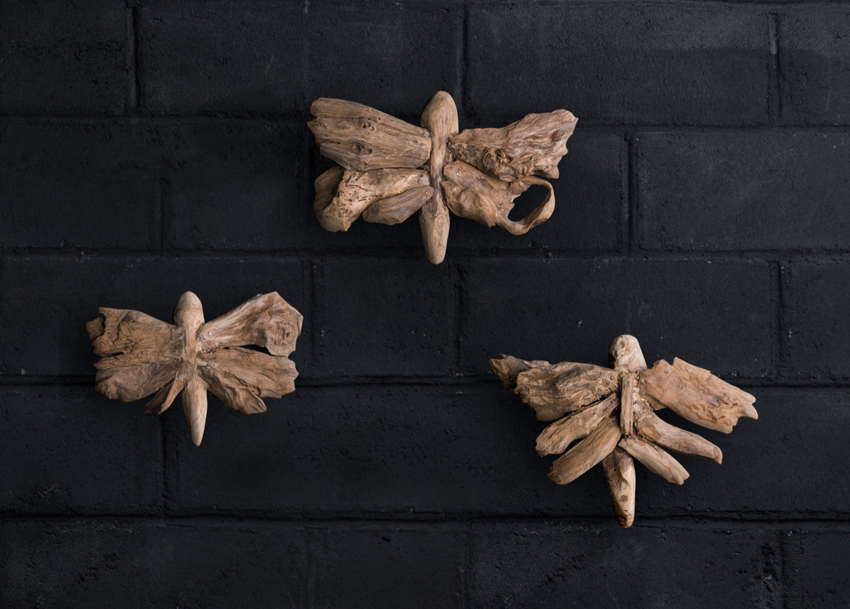 Butterfly Set 3