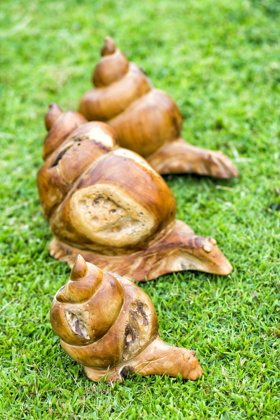 Snail Deco Set