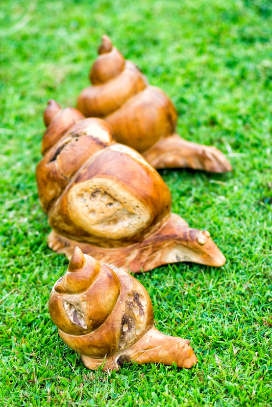 Boho solid teak sculpture Snail, handcrafted in Bali for the home