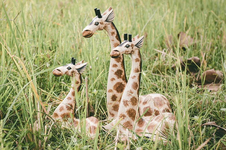 Sitting Giraffe Set Of Three