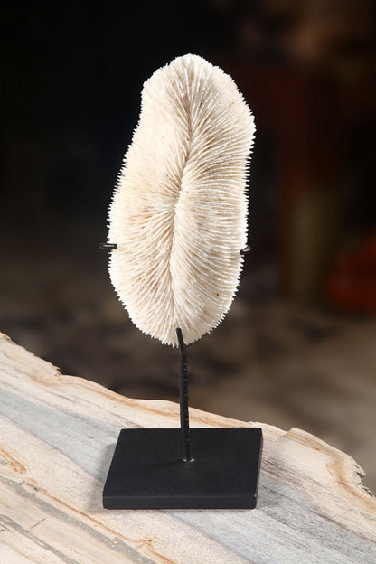 Handcrafted decorative stand Coral – boho decor handcrafted in Bali by BaliSouk