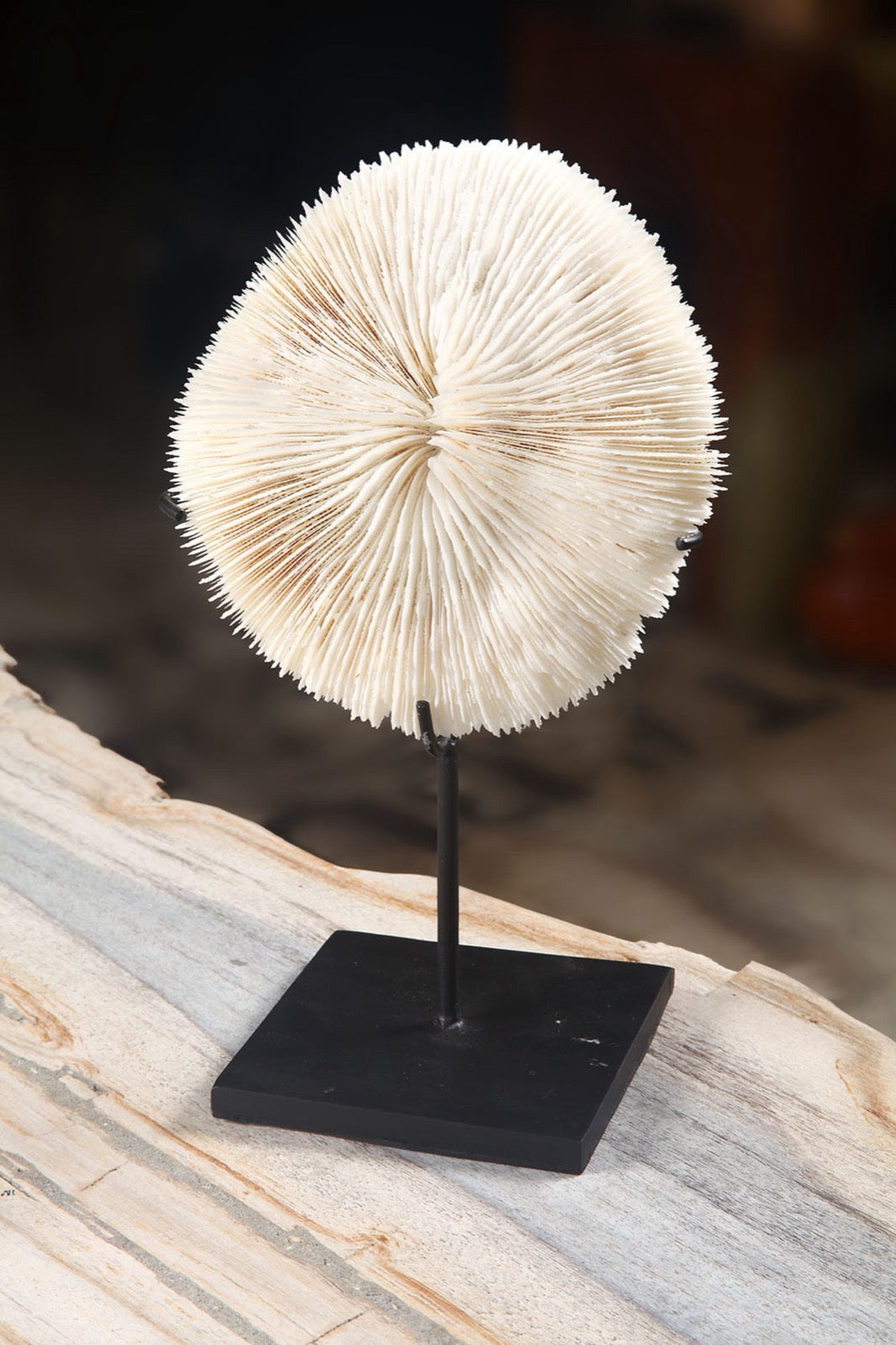 Handcrafted decorative stand Coral – boho decor, handwoven and handmade in Bali