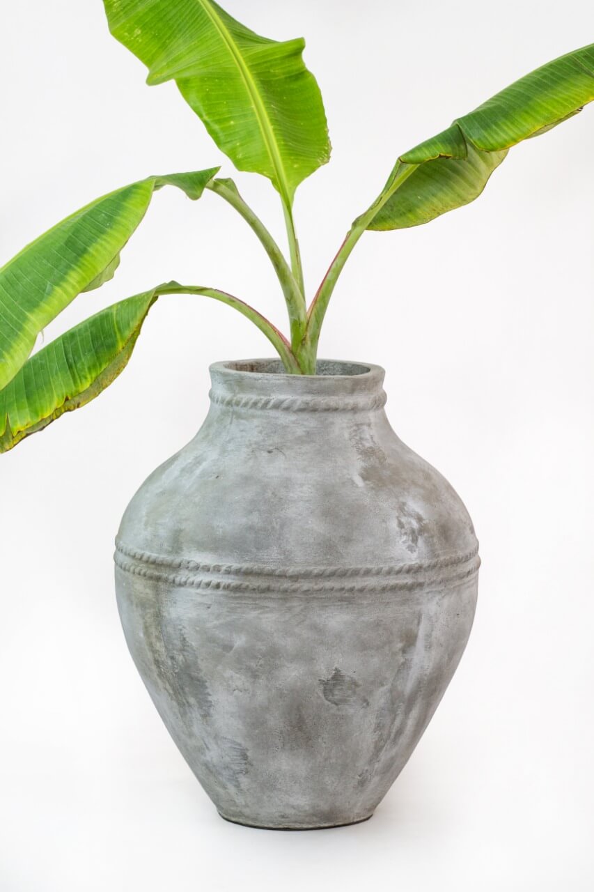 Ali Vase Deco