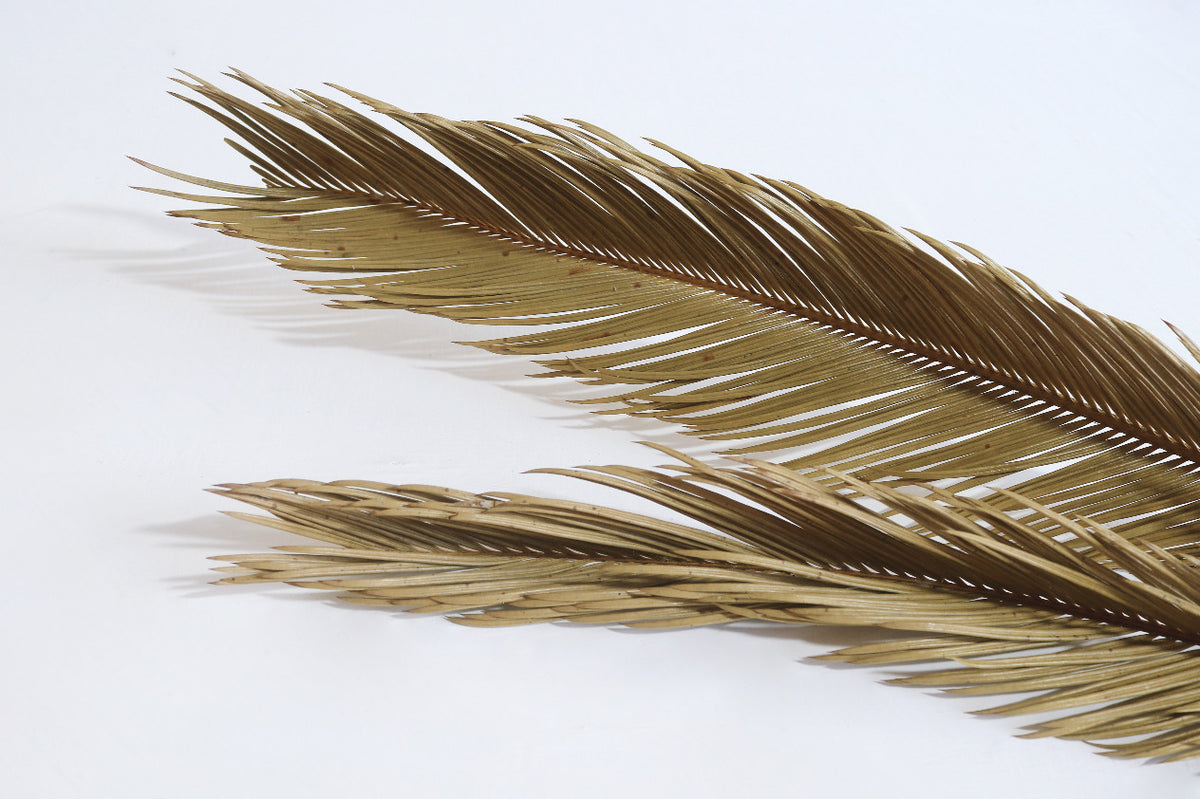Palm leaf decorative piece – Palm Leaf – boho decor handmade in Bali by BaliSouk