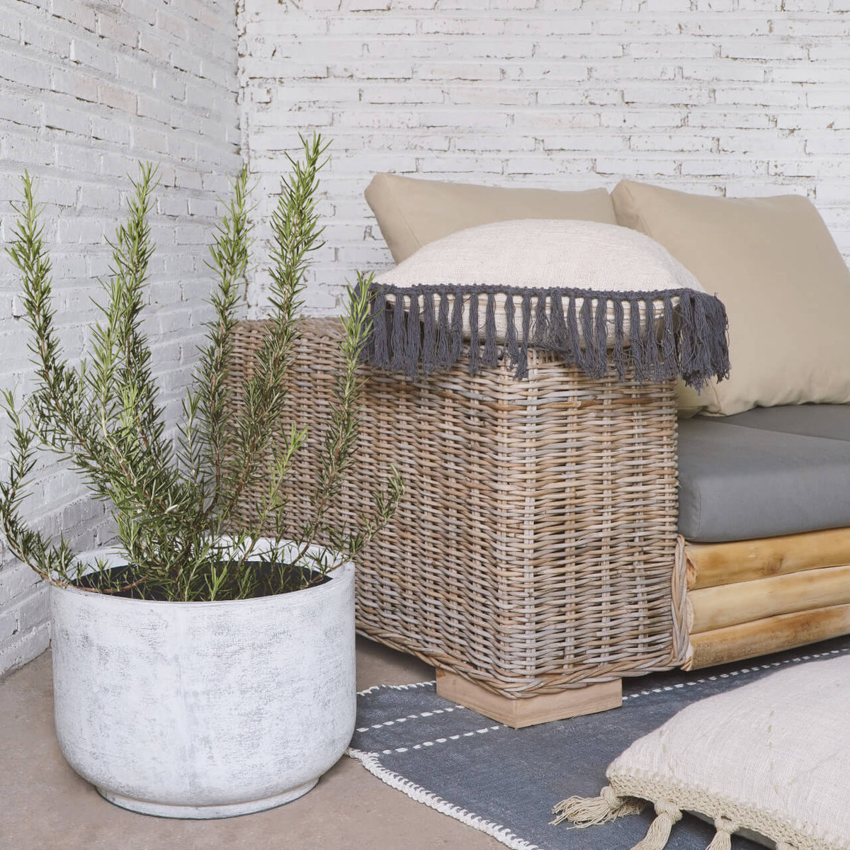 Loly Planter