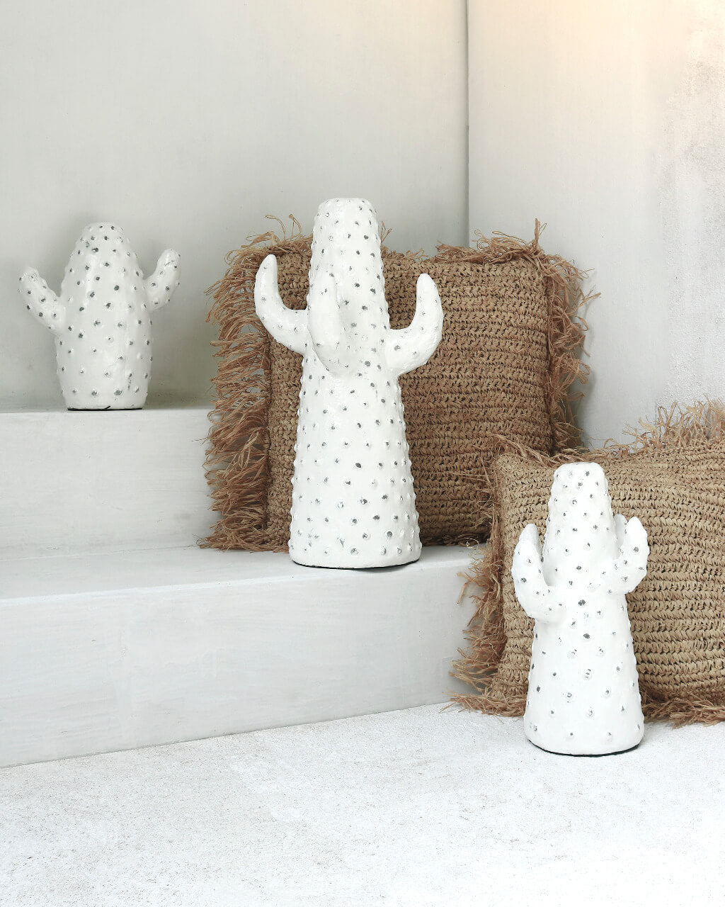 Cactus Set Of Three