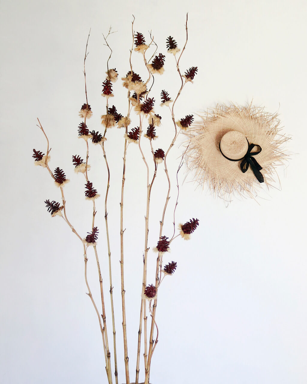 Dried Flower Set Of Ten