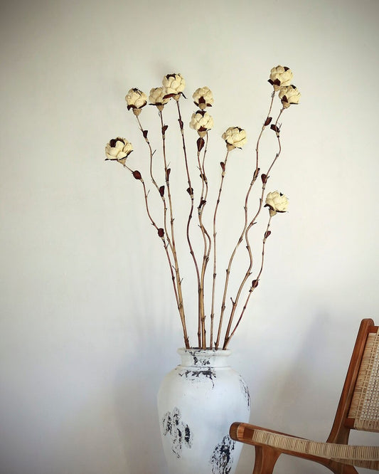 Dried Flower Set Of Ten