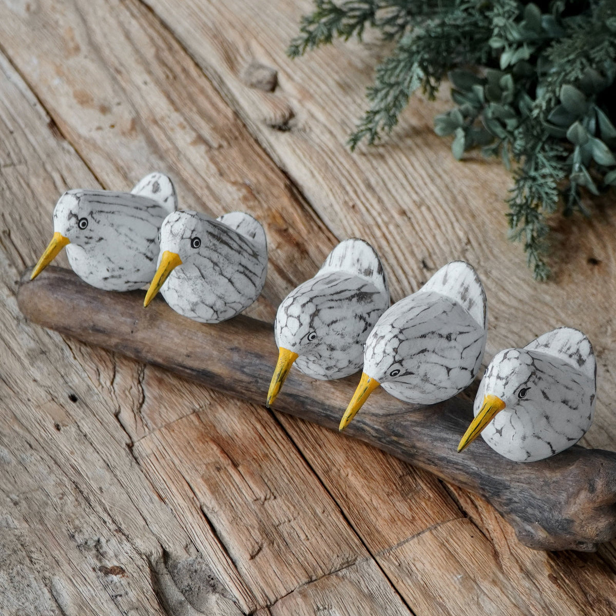 Seagull Bird Bella Family Of 5 With Base